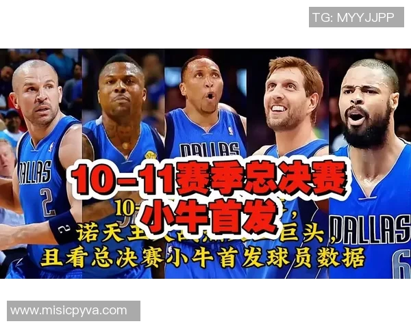 湖人对决小牛精彩赛事回顾与分析,揭示球队表现与未来展望