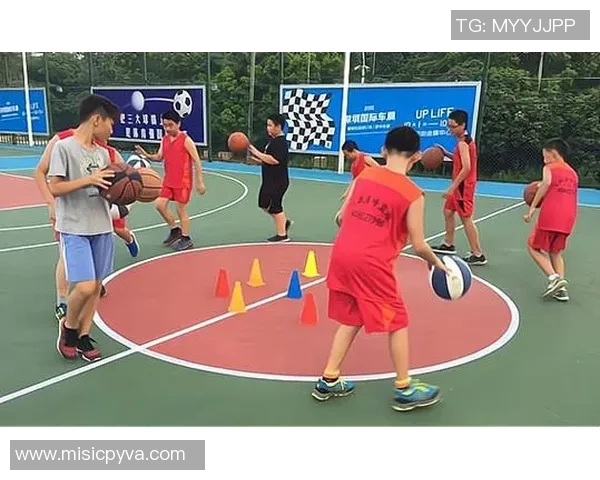 体育课程标准对照表的全面解析与实施建议探讨